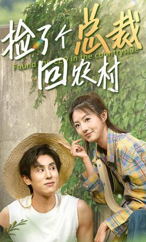 短剧捡了个总裁回农村海报