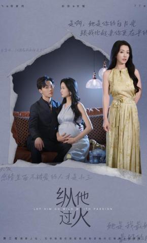短剧《纵他过火》海报
