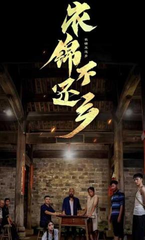 短剧《衣锦不还乡》海报