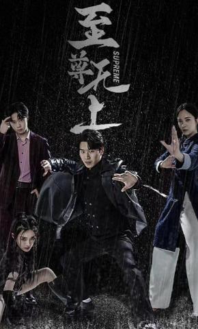 短剧至尊无上海报