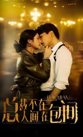 短剧《总裁不在人间在包间》海报