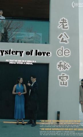 短剧老公的秘密海报