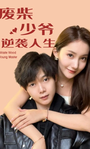短剧废柴少爷的逆袭人生海报