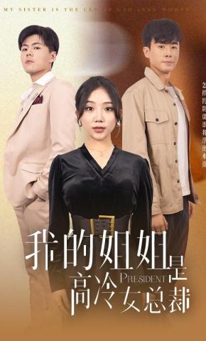 短剧我的姐姐是高冷女总裁海报