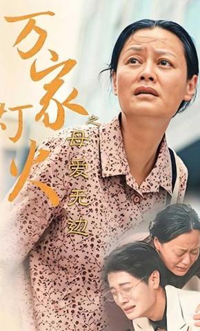 短剧万家灯火之母爱无边海报