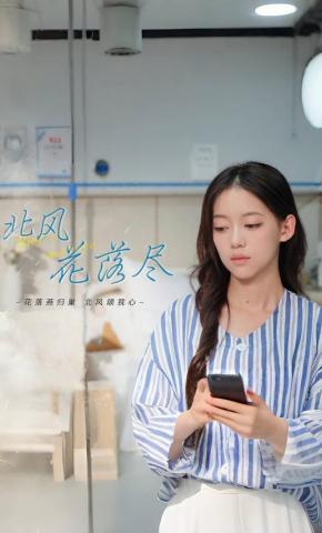 短剧《北风花落尽》海报