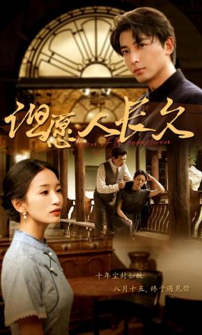 短剧但愿人长久海报