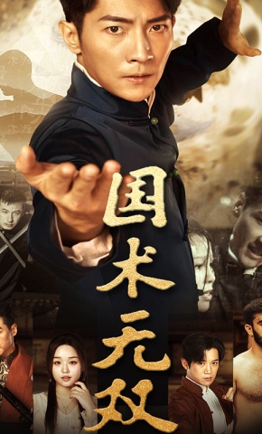 短剧《国术无双》海报