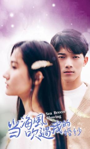 短剧当海风吹过我的婚纱海报