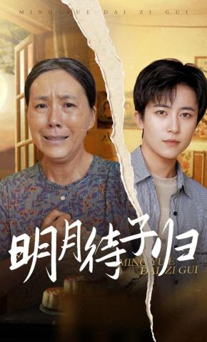 短剧明月待子归海报