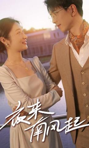 短剧夜来南风起海报