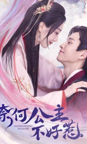 短剧奈何公主不好惹海报