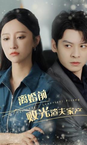 短剧离婚前败光渣夫家产海报