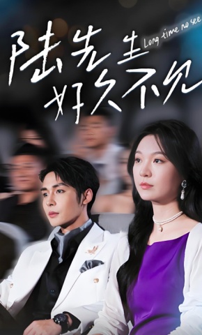 短剧《陆先生好久不见》海报
