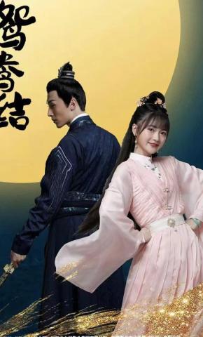 短剧鸳鸯结海报