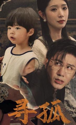 短剧《寻孤》海报