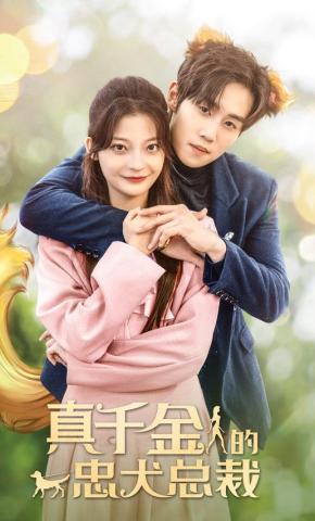 短剧《真千金的忠犬总裁》海报
