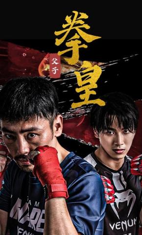 短剧父子拳皇海报