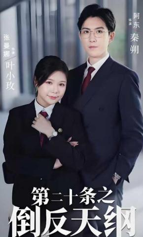 短剧《第二十条之倒反天纲》海报