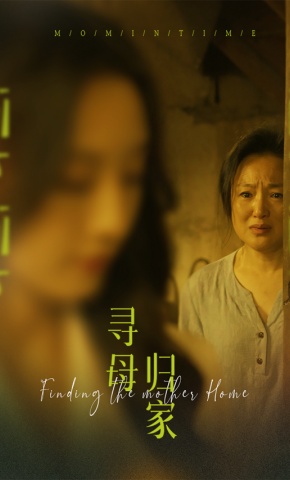 短剧寻母归家海报