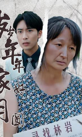 短剧岁岁年年家好月圆海报