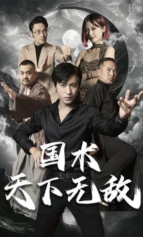 短剧国术天下无敌海报