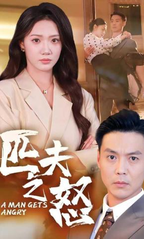 短剧匹夫之怒海报