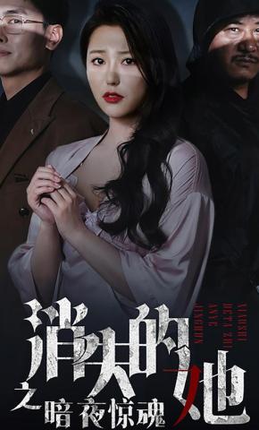 短剧《消失的她之暗夜惊魂》海报