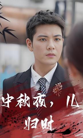 短剧中秋夜，儿归时海报