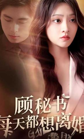 短剧《顾秘书每天都想离婚》海报