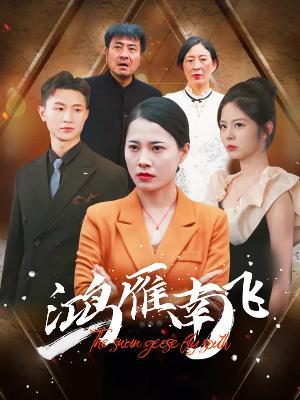 短剧鸿雁南飞海报