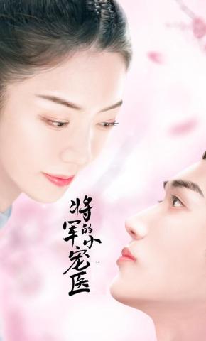 短剧《将军的小宠医》海报