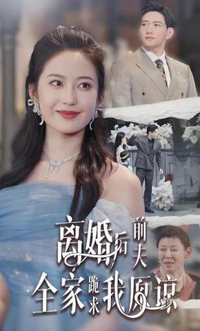 短剧《离婚后前夫全家跪求我原谅》海报