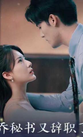 短剧乔秘书又辞职了海报