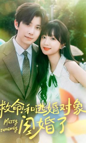 短剧救命！和逃婚对象闪婚了海报