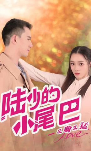 短剧陆少的小尾巴又萌又猛海报