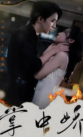 短剧掌中娇海报