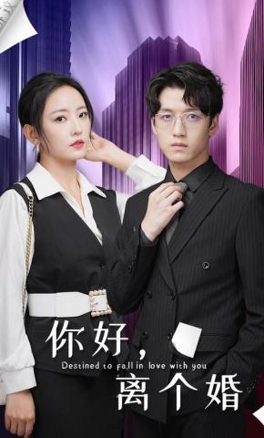 短剧你好，离个婚海报