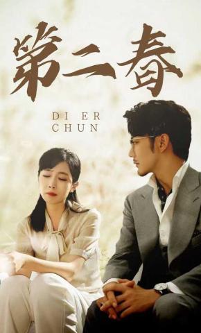 短剧《第二春》海报