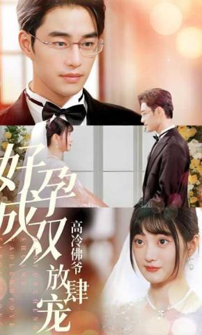 短剧好孕成双高冷佛爷放肆宠海报