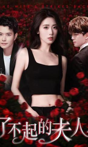 短剧了不起的夫人海报