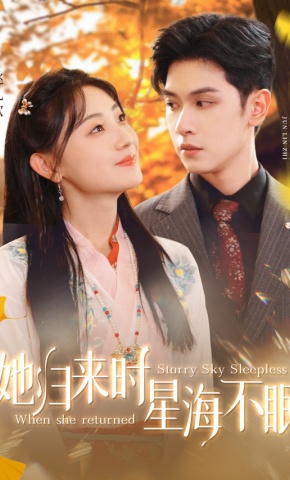 短剧她归来时星海不眠海报
