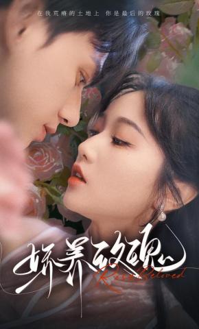 短剧《娇养玫瑰》海报