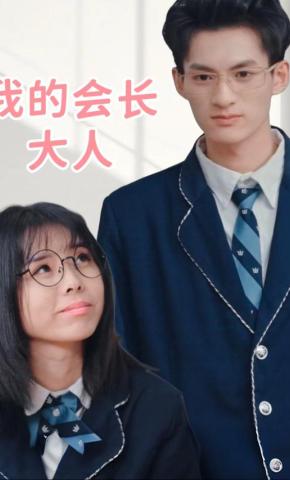 短剧我的会长大人海报