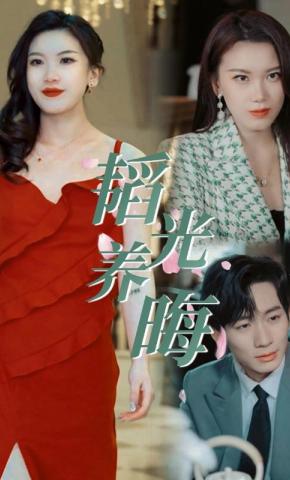 短剧韬光养晦海报