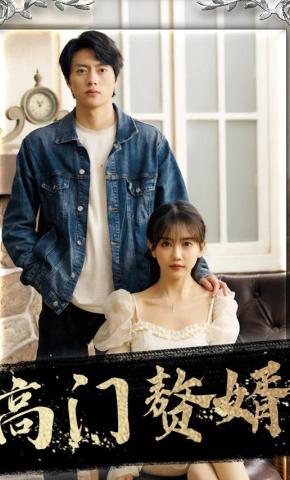 短剧高门赘婿海报