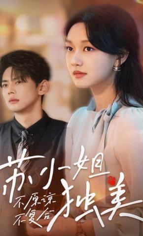 短剧《不原谅不复合苏小姐独美》海报