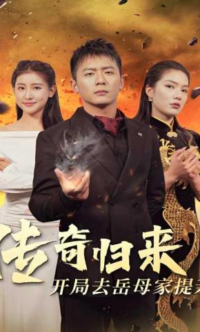 短剧《传奇归来开局去岳母家提亲》海报