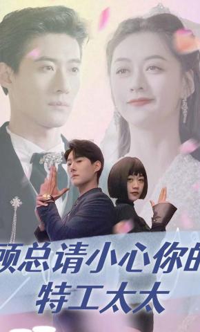 短剧《顾总请小心你的特工太太》海报