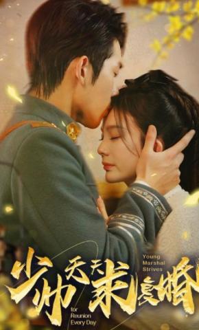 短剧《少帅天天求复婚》海报